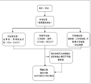 附圖-1 結直腸癌的診斷流程