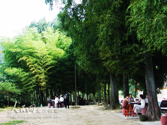 開縣南山森林公園