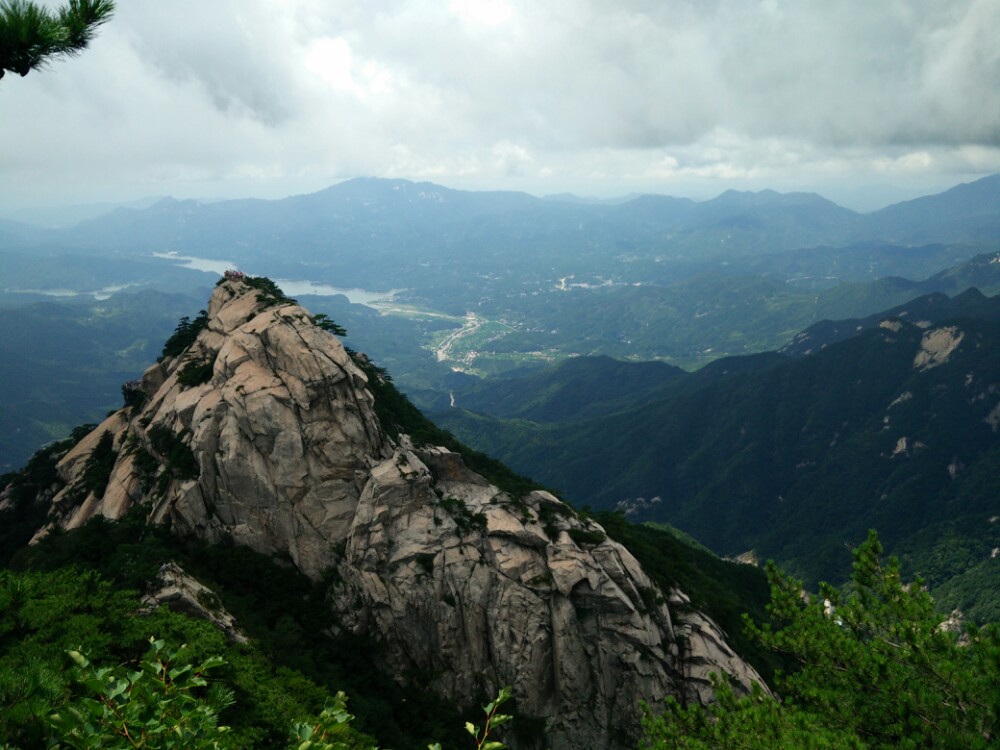 大別山黑山羊