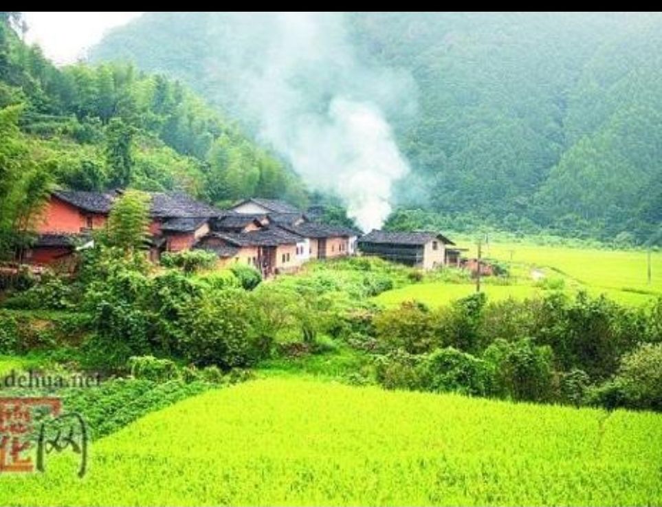 大溪村(福建省泉州市德化縣龍門灘鎮下轄村)