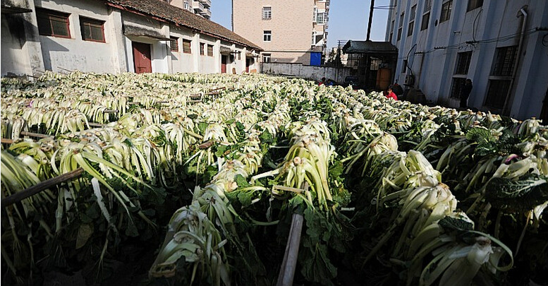 鄱陽人在曬春不老