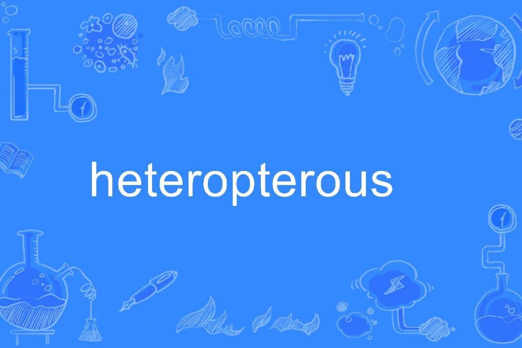 heteropterous