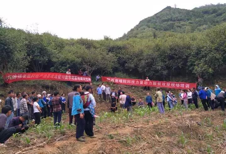 八渡鎮(貴州省黔西南布依族苗族自治州冊亨縣下轄鎮)