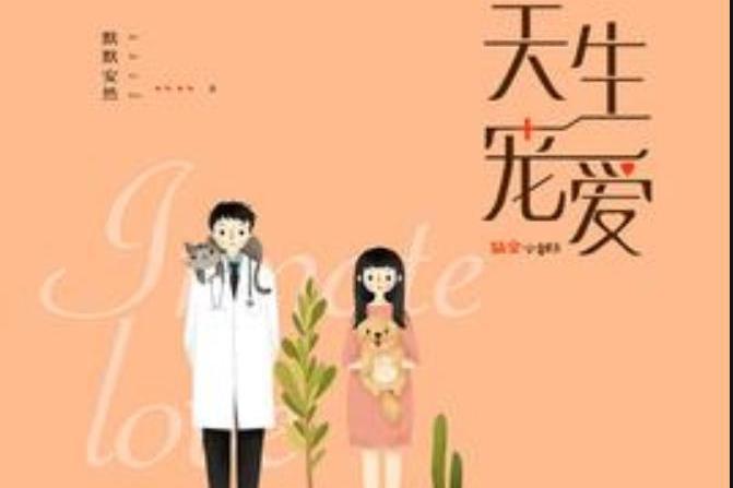 天生寵愛(默默安然所著小說)