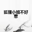 狐狸小姐不好惹(我的傷你來陪創作的網路小說)