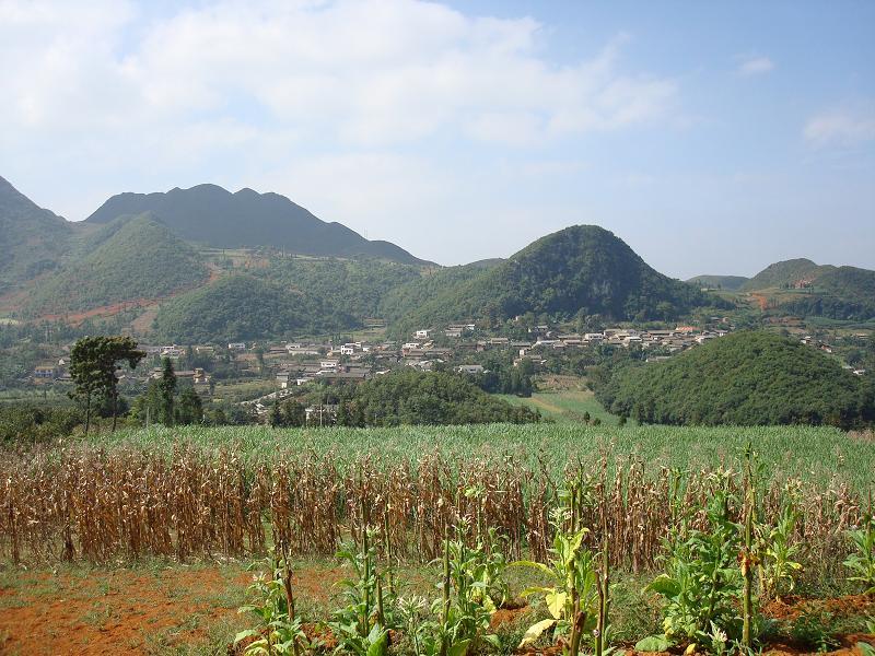 松樹坪村(雲南省文山縣追栗街鎮下轄村)