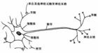 生物控制論