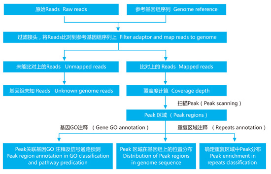 生物信息分析流程示意圖