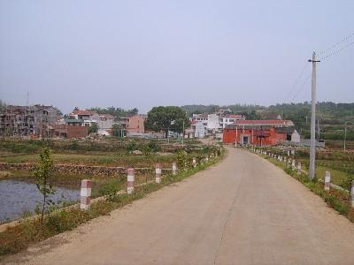 通村道路