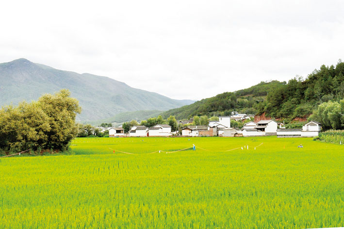 東華村(山東濟寧泗水縣大黃溝鄉東華村)