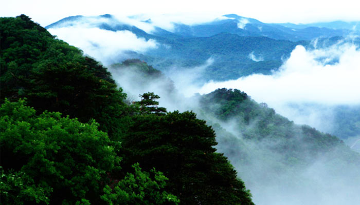 鐵山國家森林公園