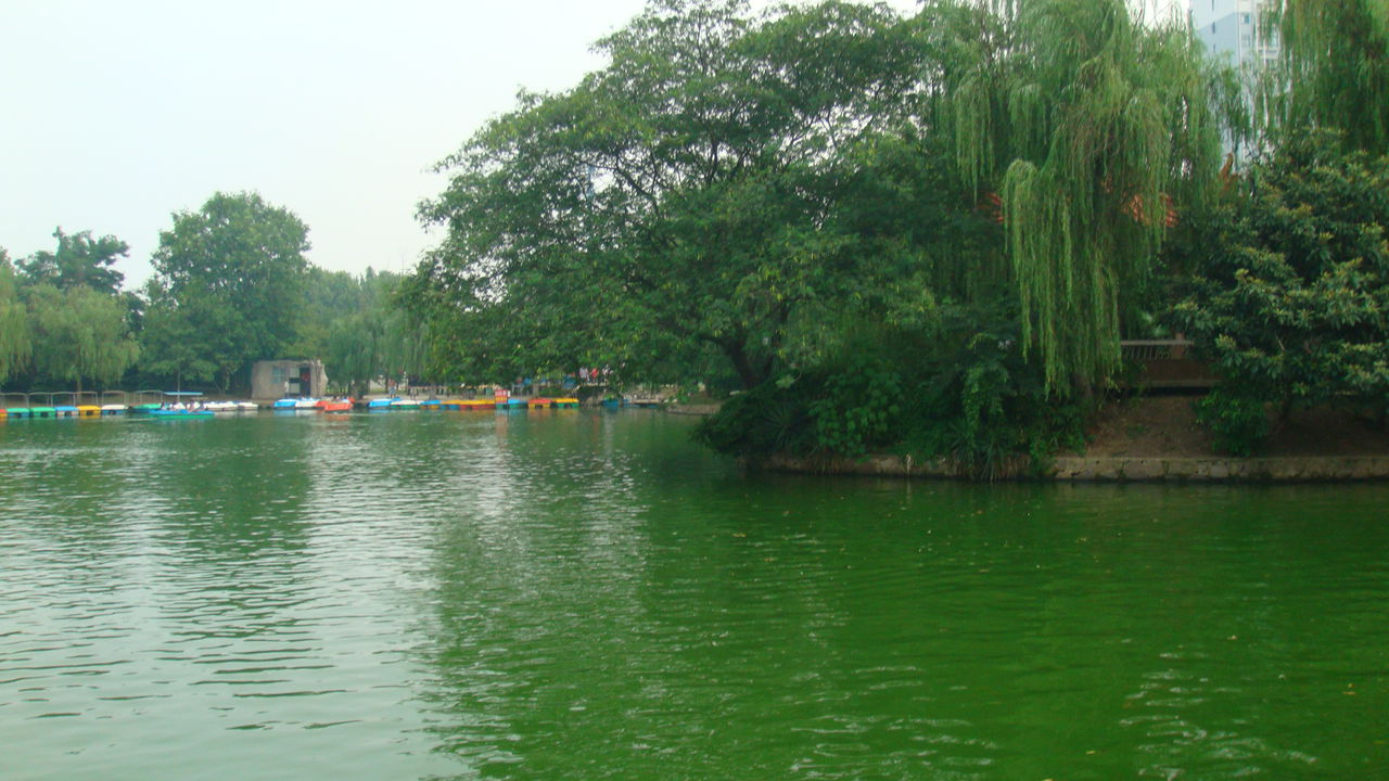 花沖公園