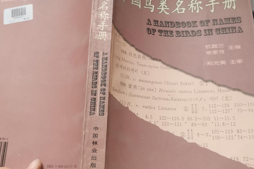 中國鳥類名稱手冊