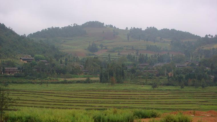 向家小平壩村