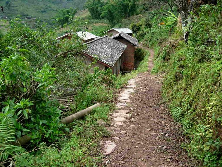 下火頭箐自然村道路