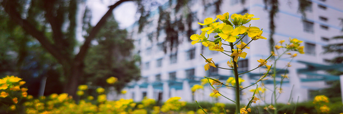 甘肅農業大學財經學院