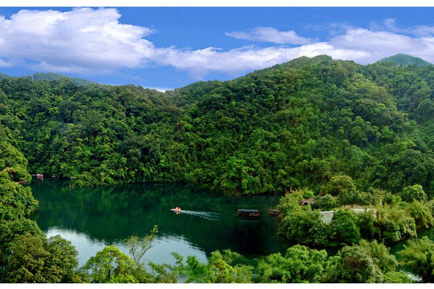 鼎湖山世界生物圈保護區