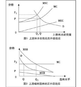 外部性效應的影響