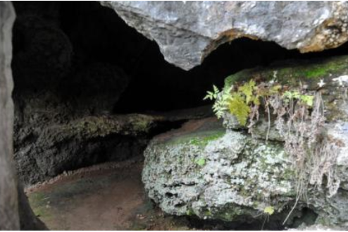 烏龜洞遺址