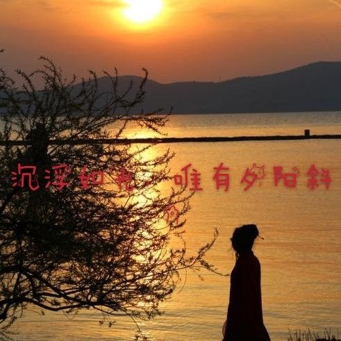 沉浮如光，唯有夕陽斜。