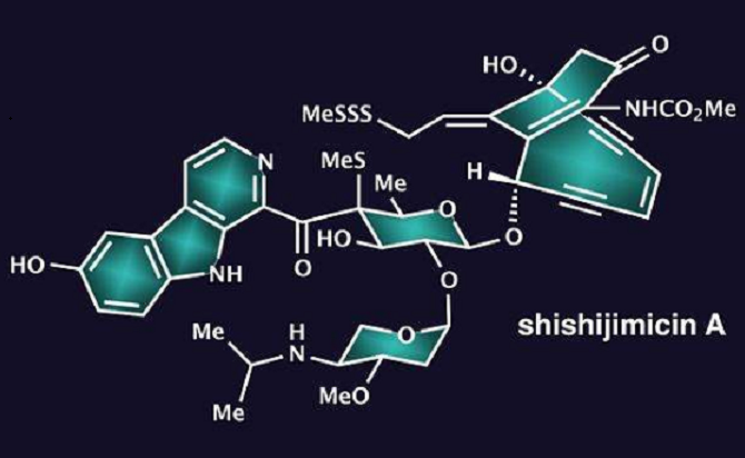 海洋天然產物化學