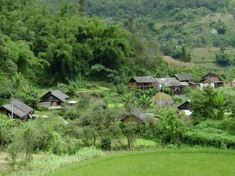 桃子坪村(雲南省紅河州金平縣銅廠鄉桃子坪村)