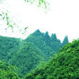 七姊妹山自然保護區