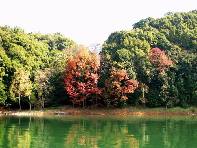 廣東小坑國家森林公園