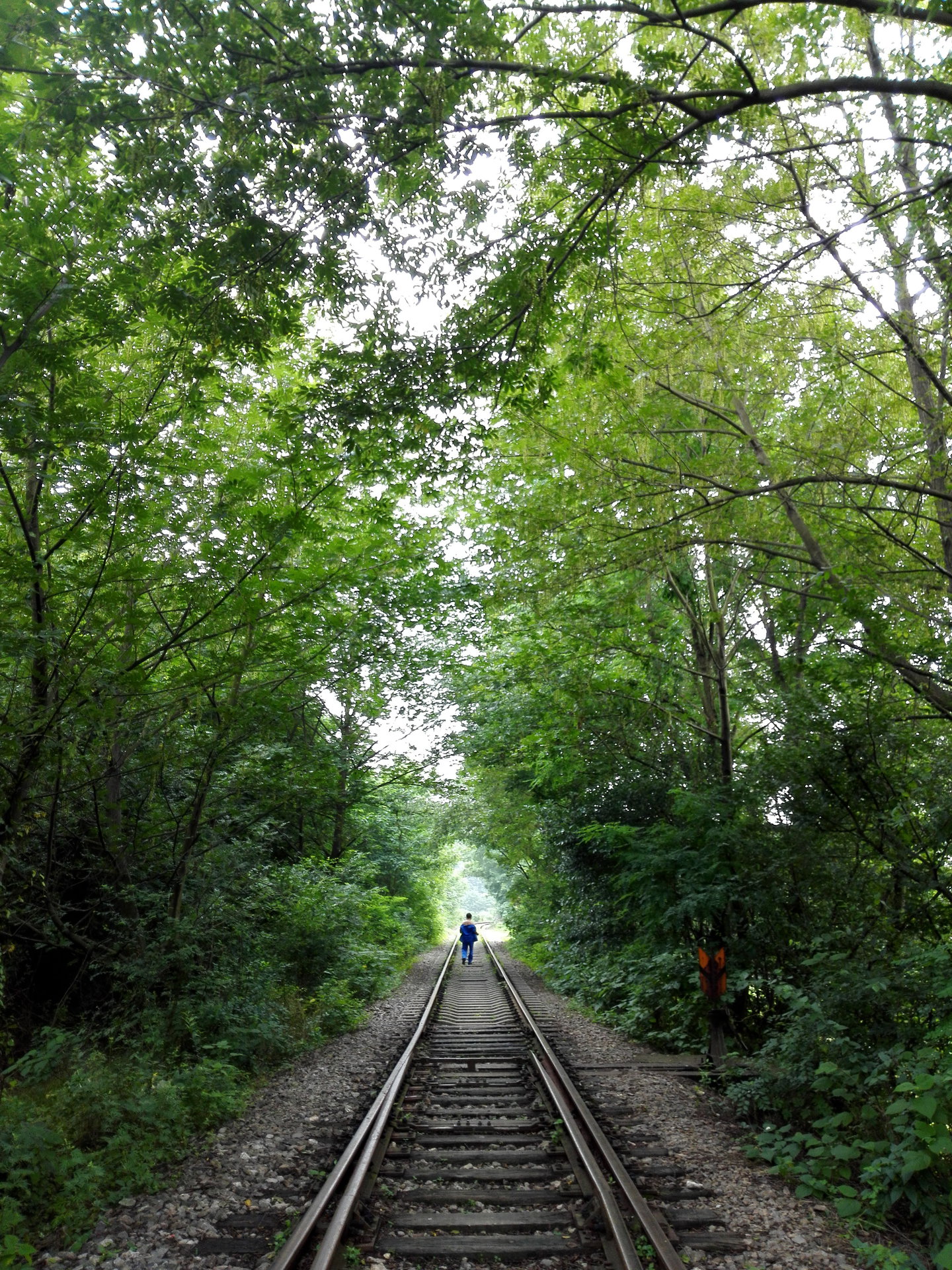 愛情隧道(橋頭集愛情隧道)