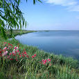 石嘴山星海湖國家濕地公園