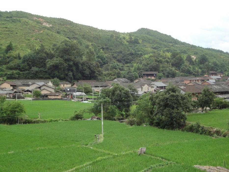 大際頭村