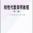 21世紀高等院校教材·線性代數簡明教程