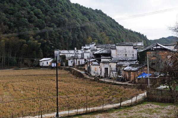 下西沖村