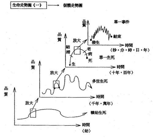 生命個體