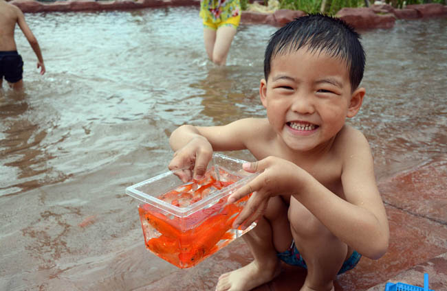 歡樂摸魚池