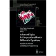 Advanced Topics in Computational Partial Differential Equations