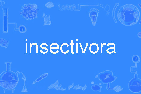 insectivora