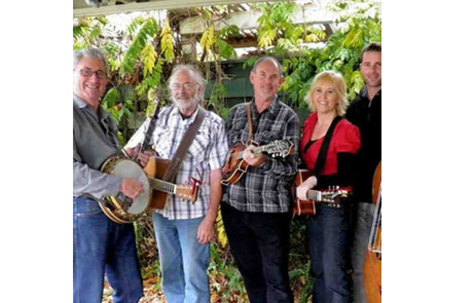 The Hamilton County Bluegrass Band