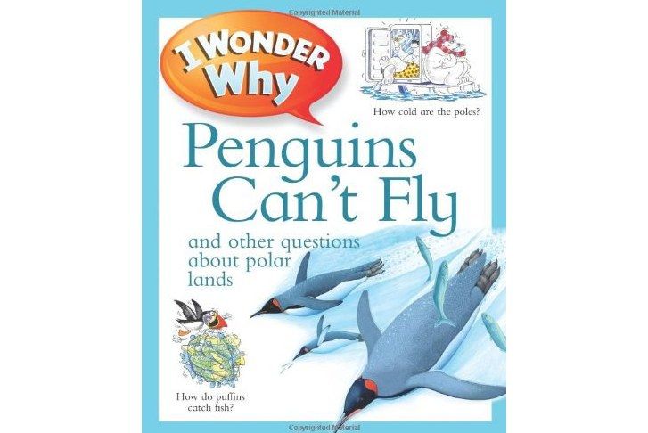 I Wonder Why Penguins Can\x27t Fly