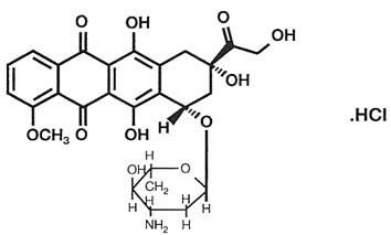 鹽酸表柔比星注射液