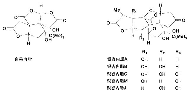 銀杏內酯的分子結構