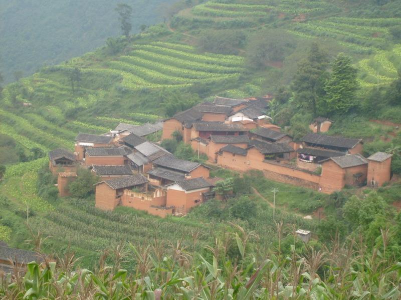 伙頭地村(雲南楚雄州八角鎮下轄村)