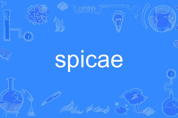 spicae