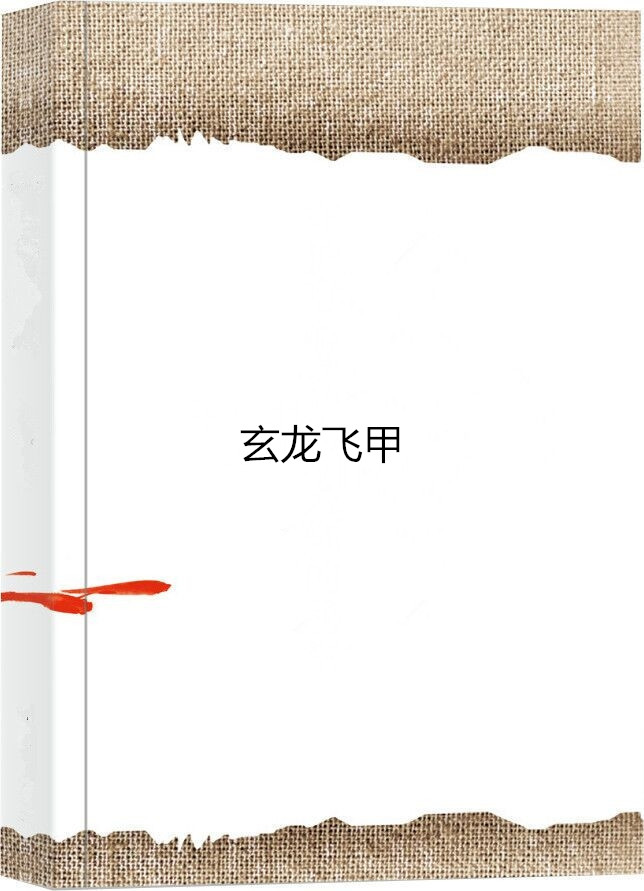 玄龍飛甲