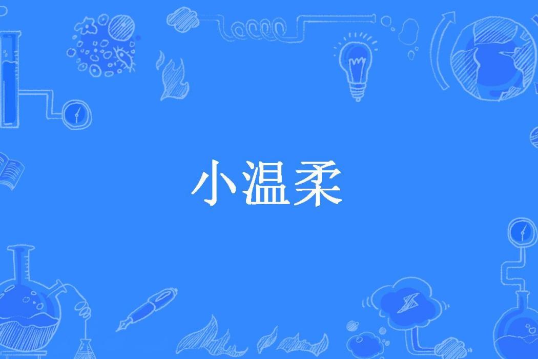 小溫柔(寒流所著小說)