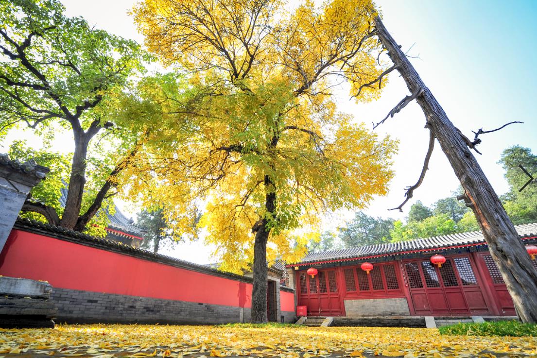 北京燕京八絕博物館