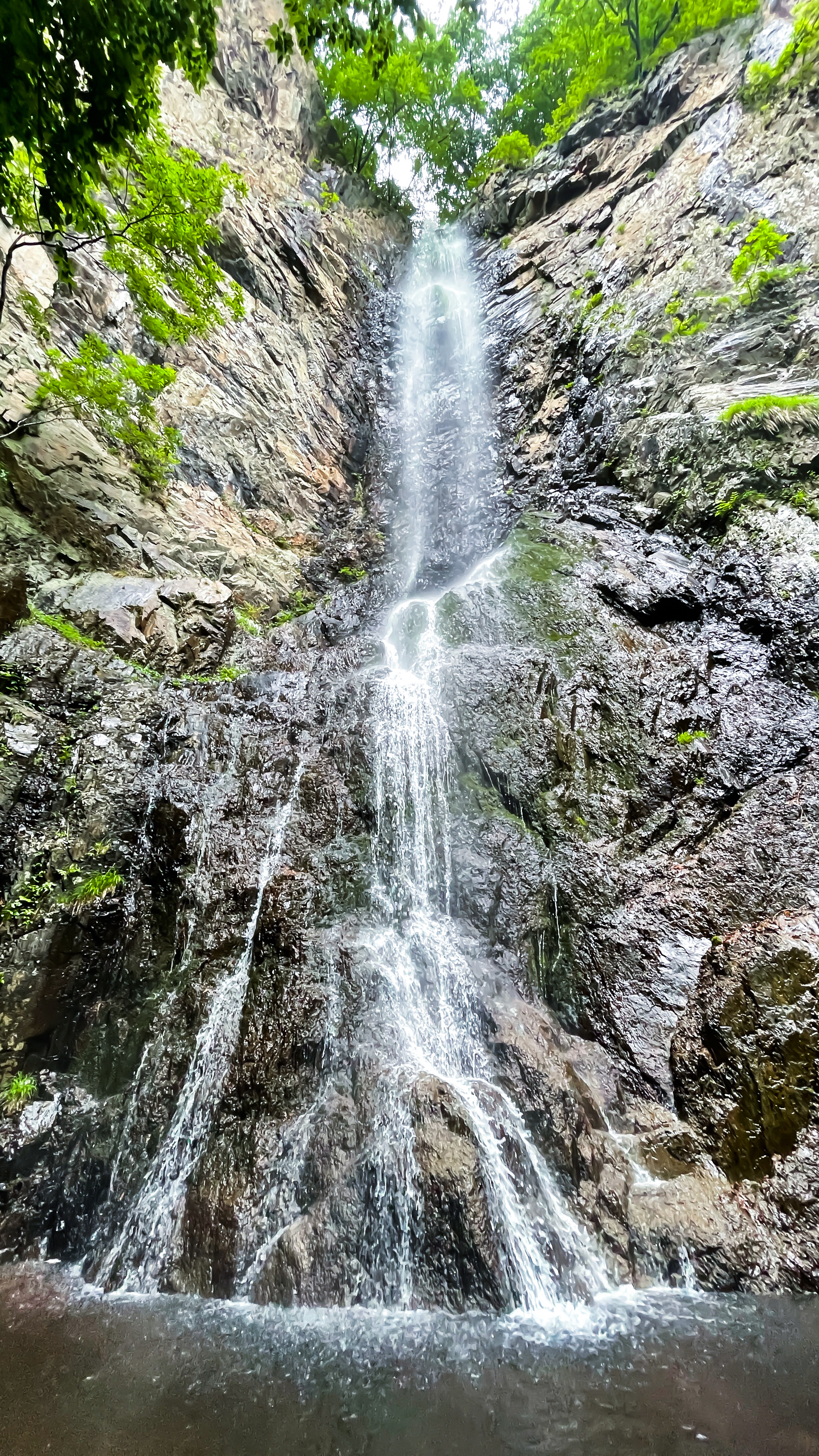 本溪花溪沐楓雪溫泉旅遊度假區