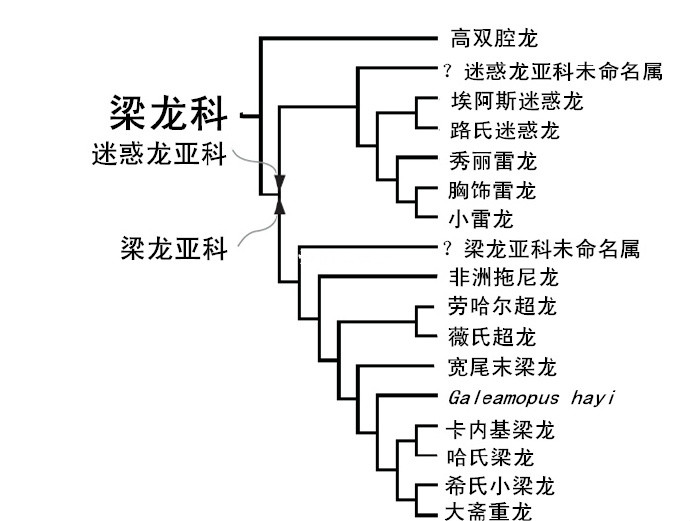 梁龍科物種