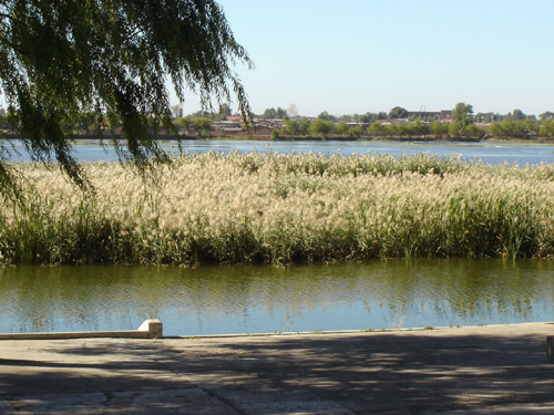 齊齊哈爾國家森林公園