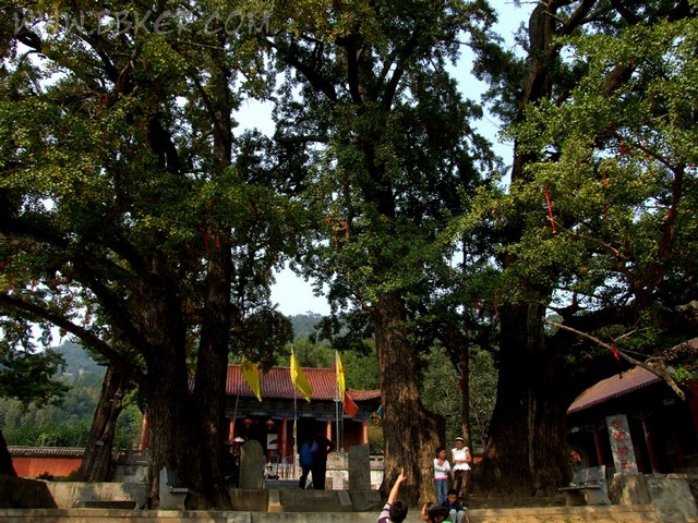 平頂山文殊寺